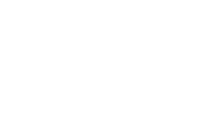 越後三大花火生中継