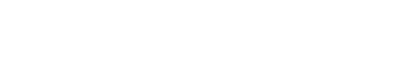 長岡まつり大花火大会復興祈願花火フェニックス