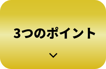 3つのポイント