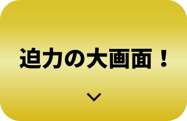 迫力の大画面！