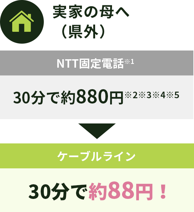 実家の母へ（県外）