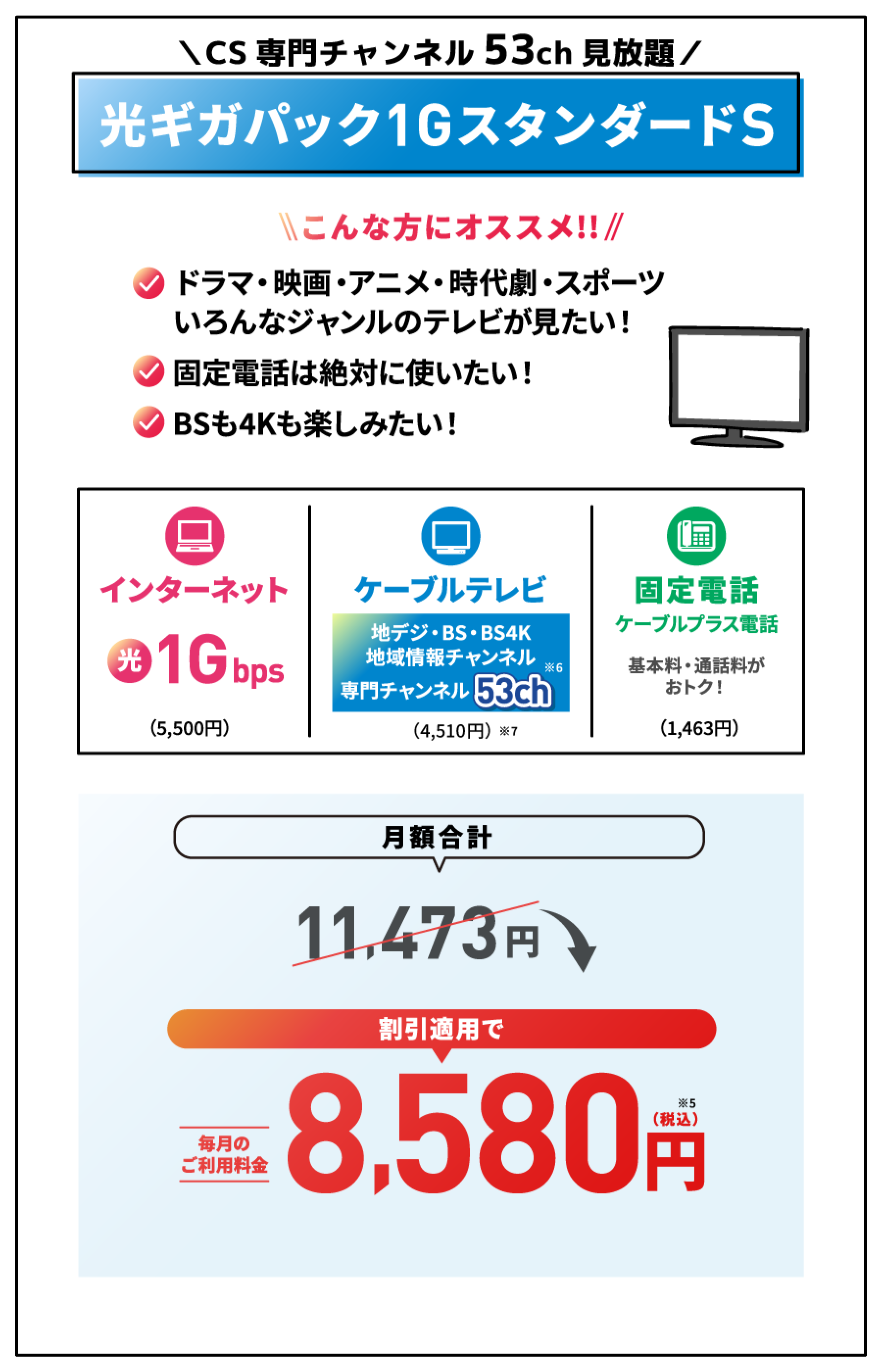 光ギガパック1GスタンダードS