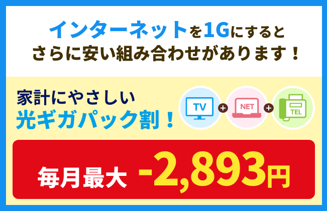 1Gにするとさらに安い組み合わせがあります！