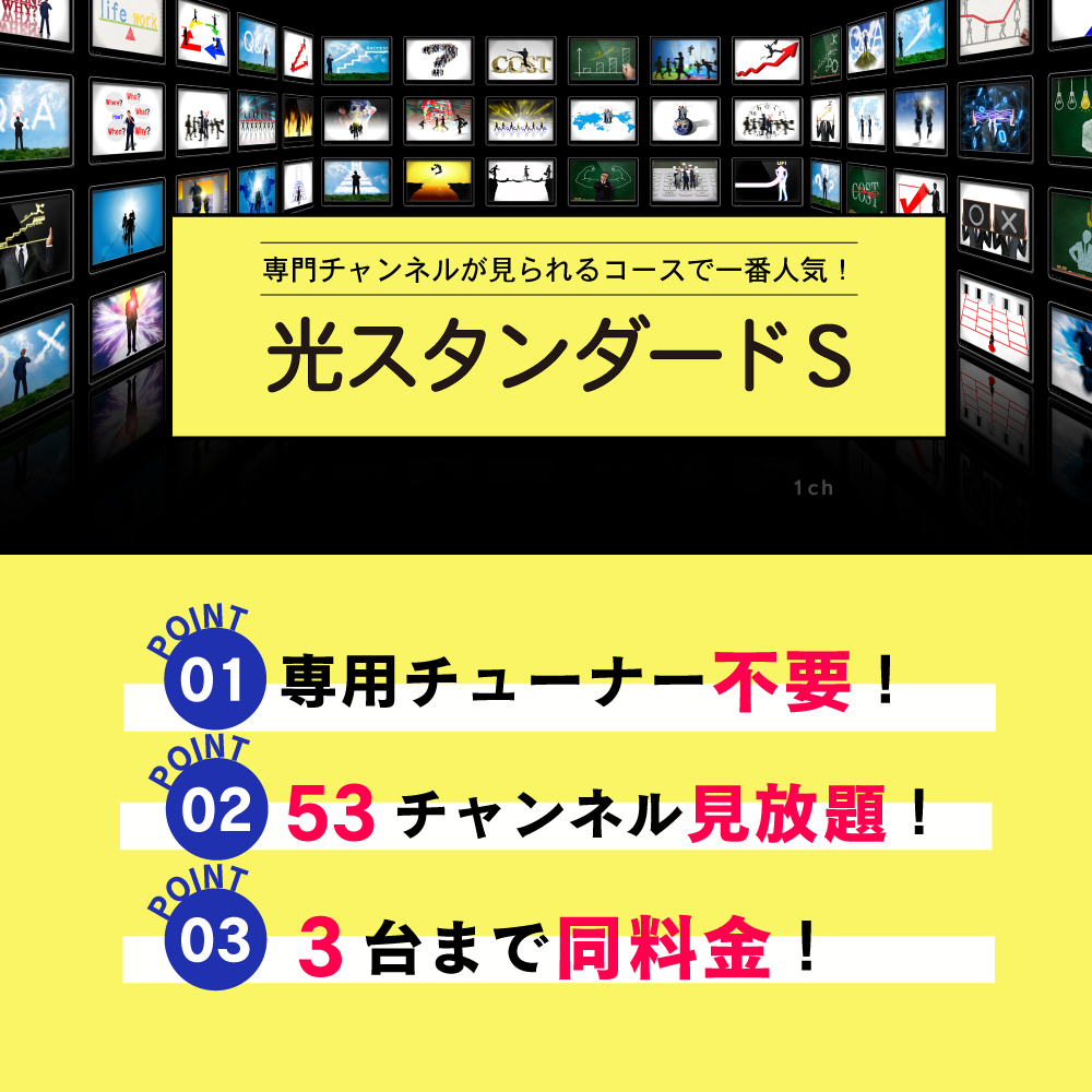 光スタンダードSプラン